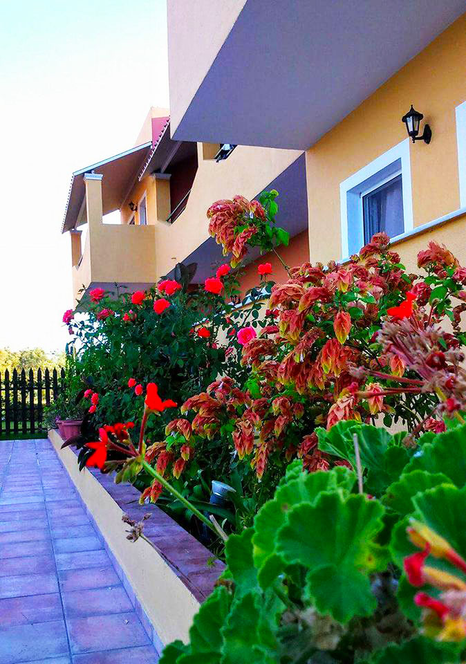 greece-corfu-kavos-rooms-summer-vacations