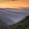 Maloukion[Trip Advisor]