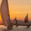 James M[Trip Advisor]